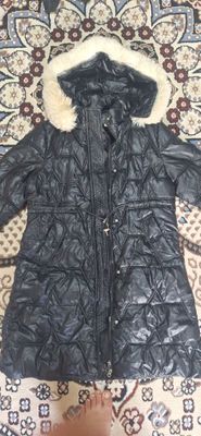 Kurtga qishgi holati yaxshi