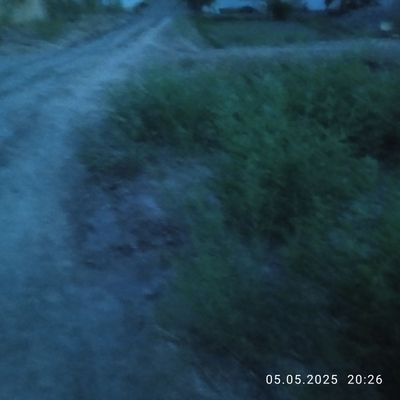 Кошкопир туманни незагос махаласида йер участок сотилади дакументни