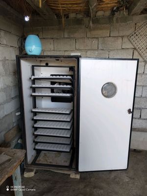 Inkubator 1000 talik