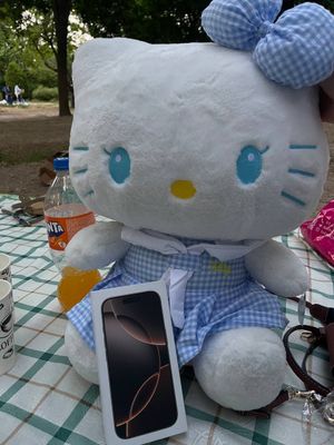 Hello kitty sotiladi teyilmagan yangi
