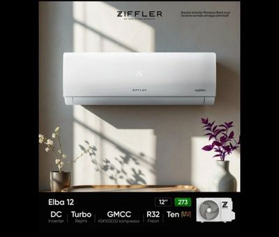 Ziffler kandetsaner inverter mator + ten