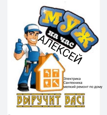Муж на час. Мастер на все руки.