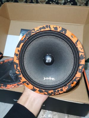 Dl Audio Barracuda 165 SE Эстрадка