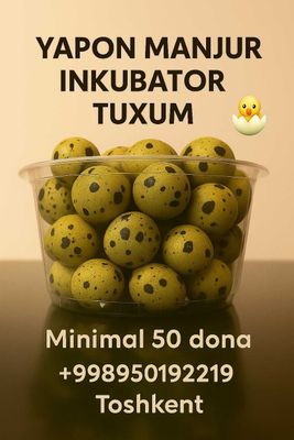 Bedana Tuxum | Перепелиное Яйцо