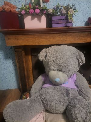 teddy