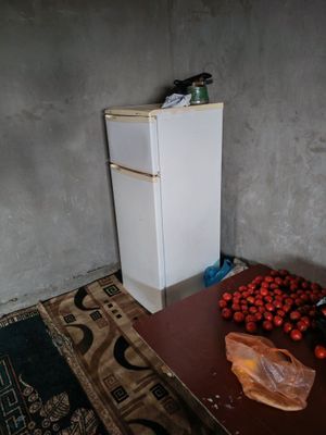 Xaladelnik sotiladi Nord ishlashi zor