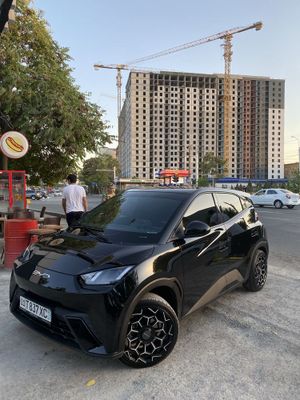 BYD SEAGULL fuli toza