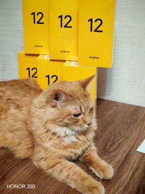 Realme 12 256gb официалка