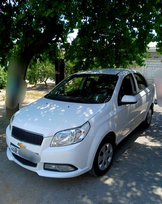 Nexia 3 oq tozza