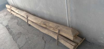 Терак тусинлик учун янги 4.50 узунлги
