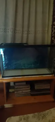 Продаётся аквариум