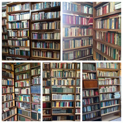 Книги на русском языке. в большом количестве.