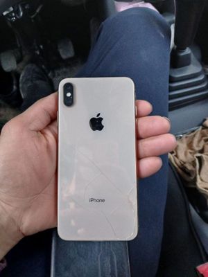 xs max usta kormagan