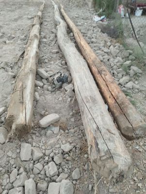 Жай тобесине агаш 9-10 м
