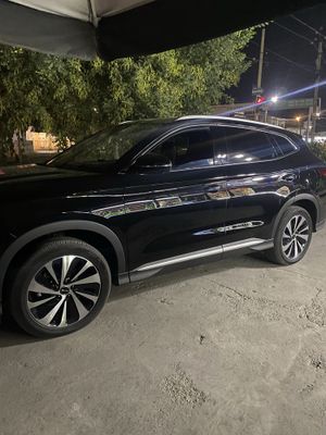 Byd chimpion yili2024