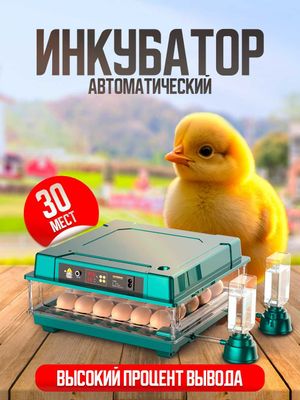 Инкубатор для яиц, 30/63/130 мест. Inkubator tuhum uchun