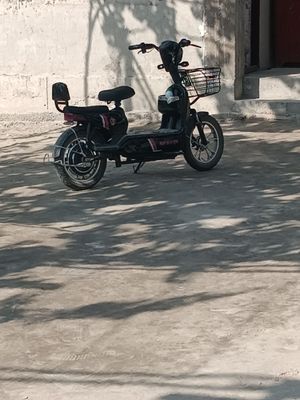 Holati yaxshi zoʻr kami bor