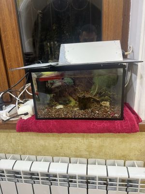 Продается два аквариума