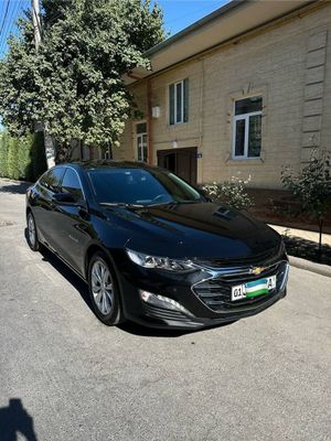 Malibu 2 primer 2022