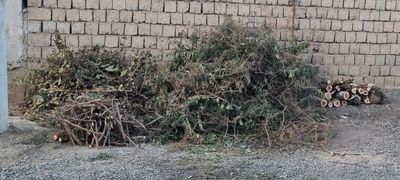 Утин Хезум Дрова