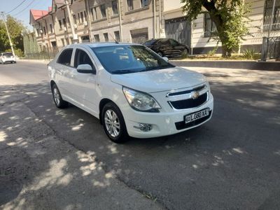 Cobalt 2023 yil metan gaz bor