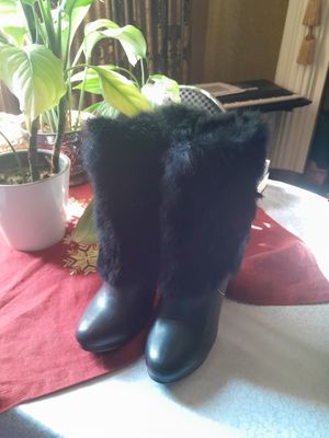 сапоги женские