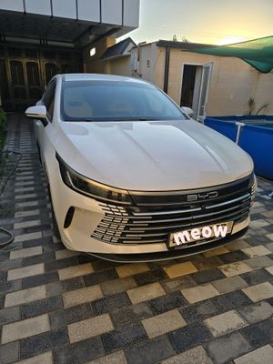 BYD Chazor. 2024. 1 позиция. Белый