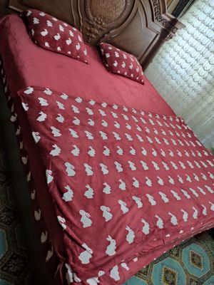 Momiq komplekt