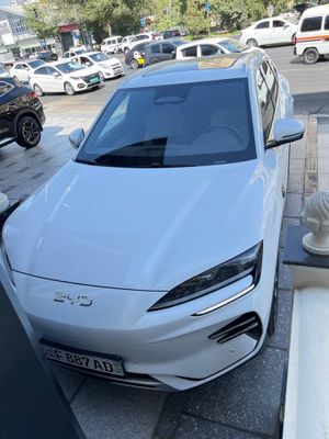 BYD Champion Smart 2025