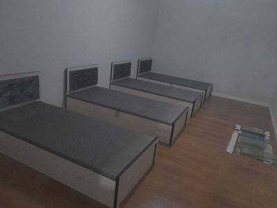 Хасанбой Зенит Алфраганус