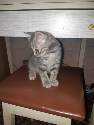 Будет скоро 2 месяца