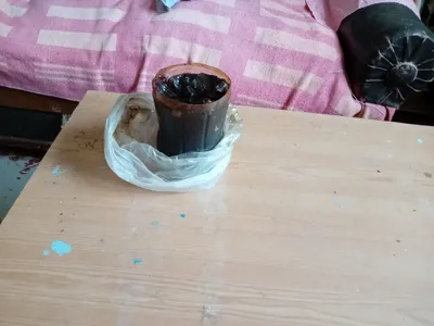 Солидол-смазочное средство.