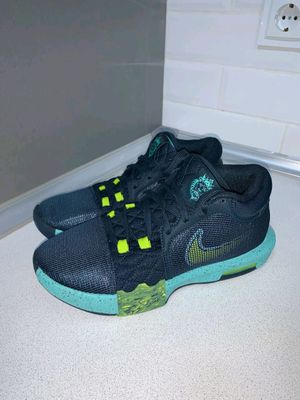 Баскетбольные кроссовки Nike LeBron Witness