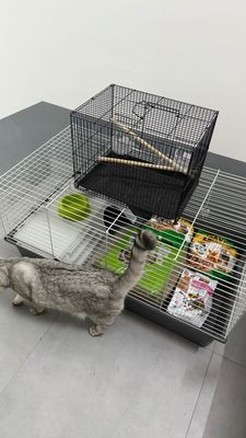 Клетка для кролика