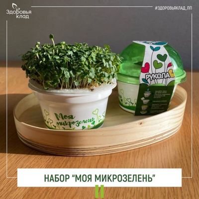 Стаканчик для проращивания микрозелени