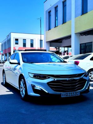 Malibu Premier Tozza