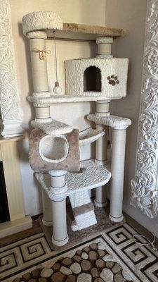 Комплекс для кошек
