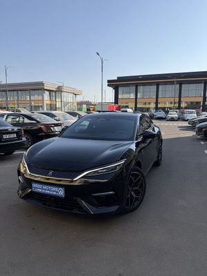 Byd song L 5-full pozitsiya ideal sostayanada