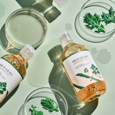 ROUND LAB Mugwort Calming Toner Успокаивающий тонер с полынью