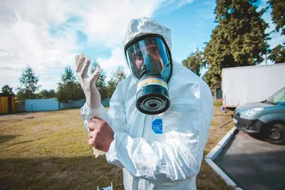 клопы дезинфекция klapa dezinfeksiya tarakan termit уничтожение клопов