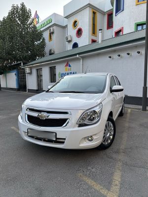 Cobalt Arendaga beriladi!