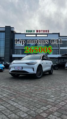 Lip motor c11 Electro 26500