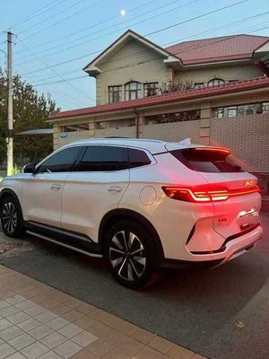 BYD Champion 2025 model