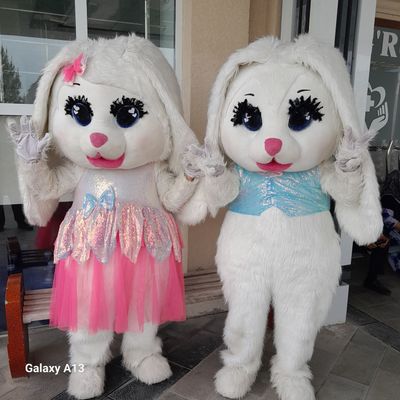 Айиклар, Аниматорлар ,хизмати