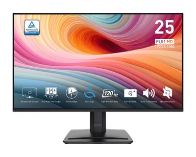 Msi Pro MP251 E2 25-inch Full hd IPS 120hz