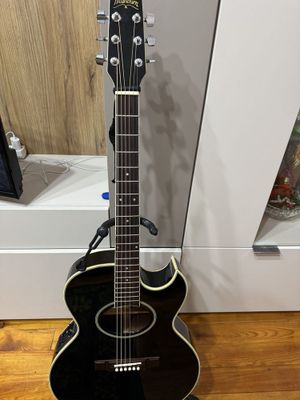 Washburn EA20 Festival series