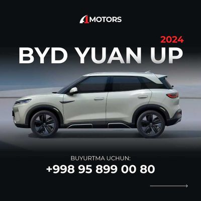 BYD YUAN UP 2024 Excellent