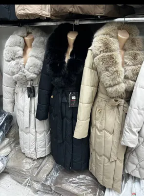 кишки курткалар