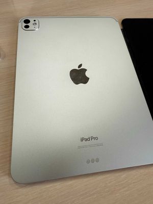 iPad Pro 11 M4 2024, 256Gb, Wi-Fi, Silver + PITAKA чехол