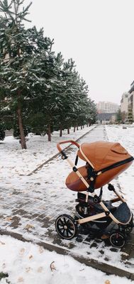 Кожанная коляска 2 в 1
